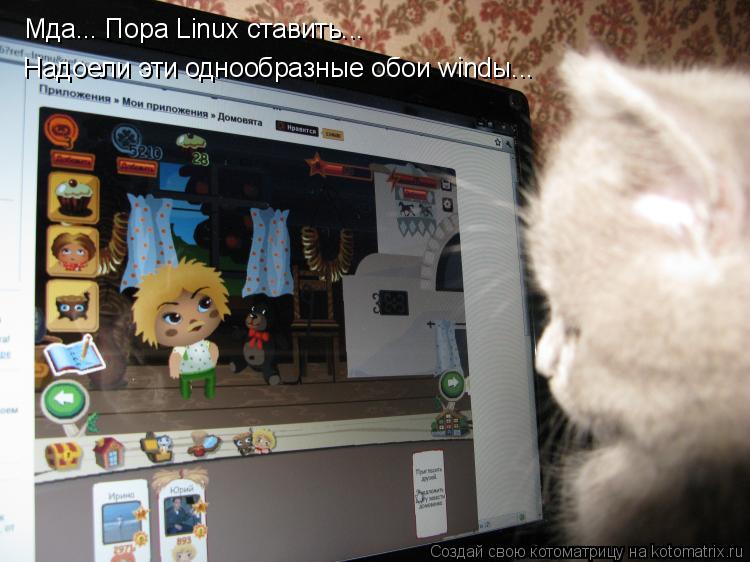 Котоматрица: Мда... Пора Linux ставить... Надоели эти однообразные обои windы...