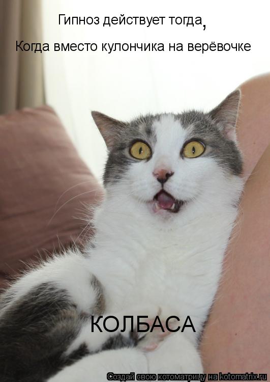 Гипноз действует тогда Когда вместо кулончика на верёвочке КОЛБАСА ,... Котоматрица: Гипноз действует тогда Когда вместо кулончика на верёвочке КОЛБАСА ,