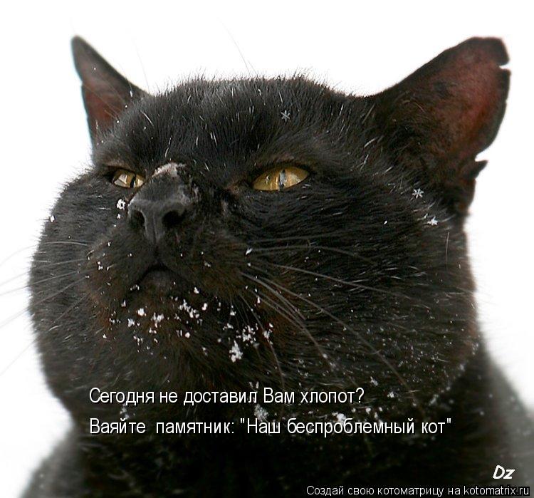 Ваяйте памятник: "Наш беспроблемный кот" Сегодня не доставил Вам хлопот?... Котоматрица: Ваяйте памятник: "Наш беспроблемный кот" Сегодня не доставил Вам хлопот?