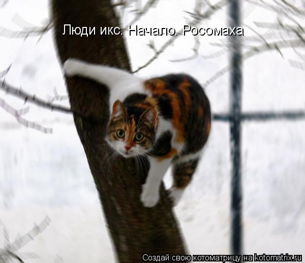 Люди икс. Начало. Росомаха... Котоматрица: Люди икс. Начало. Росомаха