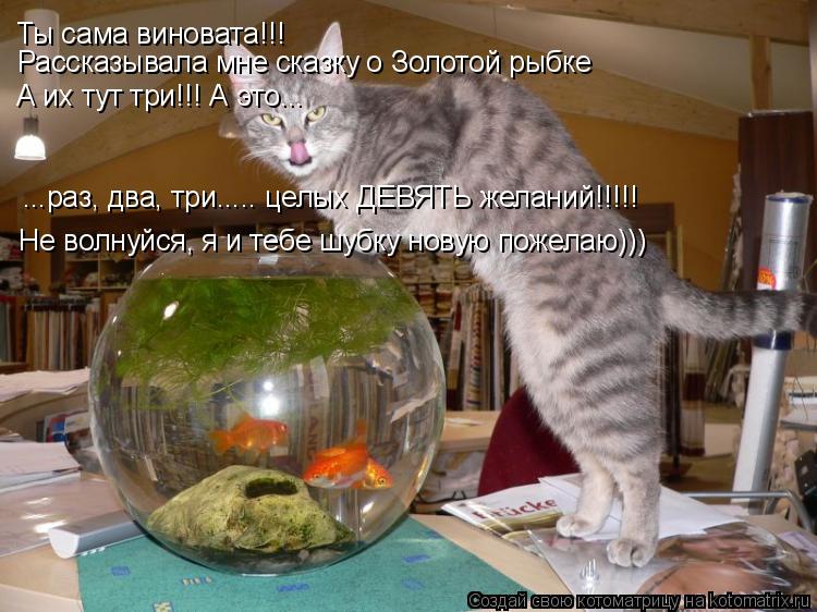 Ты сама виновата!!! Рассказывала мне сказку о Золотой рыбке А их тут три!!! А это... ...раз, два, три... Котоматрица: Ты сама виновата!!! Рассказывала мне сказку о Золотой рыбке А их тут три!!! А это... ...раз, два, три..... целых ДЕВЯТЬ желаний!!!!! Не волнуйся, я и