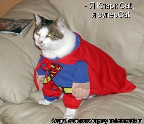- Я Кларк Cat , я суперCat... Котоматрица: - Я Кларк Cat , я суперCat