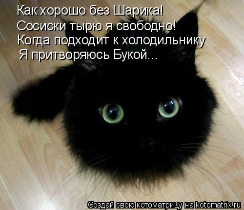 Как хорошо без Шарика! Сосиски тырю я свободно! Когда подходит к холодильнику Я притворяюсь Букой...... Котоматрица: Как хорошо без Шарика! Сосиски тырю я свободно! Когда подходит к холодильнику Я притворяюсь Букой...