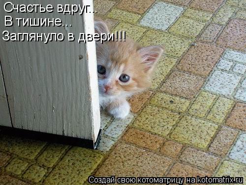 Счастье вдруг... В тишине... Заглянуло в двери!!!... Котоматрица: Счастье вдруг... В тишине... Заглянуло в двери!!!