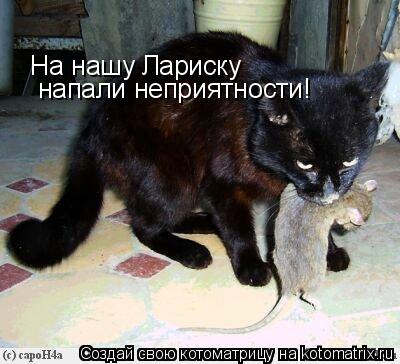 На нашу Лариску напали неприятности!... Котоматрица: На нашу Лариску напали неприятности!