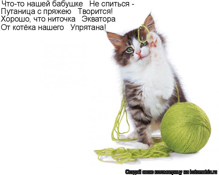 Что-то нашей бабушке Не спиться - Путаница с пряжею Творится! Хорошо, что ниточка Экватора От к... Котоматрица: Что-то нашей бабушке Не спиться - Путаница с пряжею Творится! Хорошо, что ниточка Экватора От котёка нашего Упрятана!
