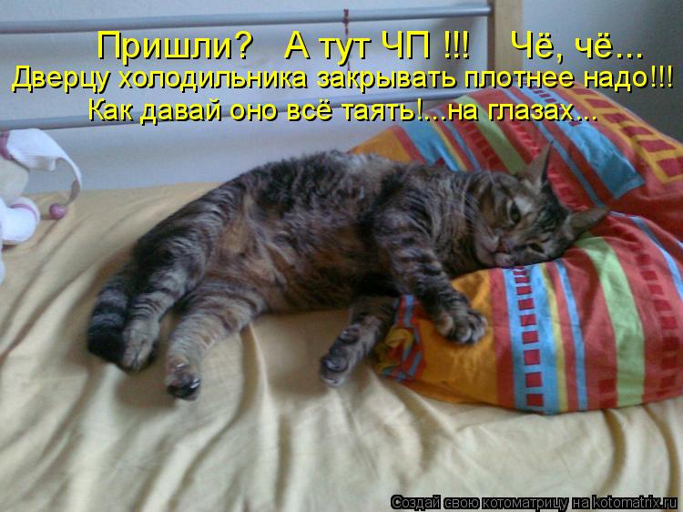 Дверцу холодильника закрывать плотнее надо!!! Как давай оно всё таять!...на глазах... Пришли? А тут... Котоматрица: Дверцу холодильника закрывать плотнее надо!!! Как давай оно всё таять!...на глазах... Пришли? А тут ЧП !!! Чё, чё...