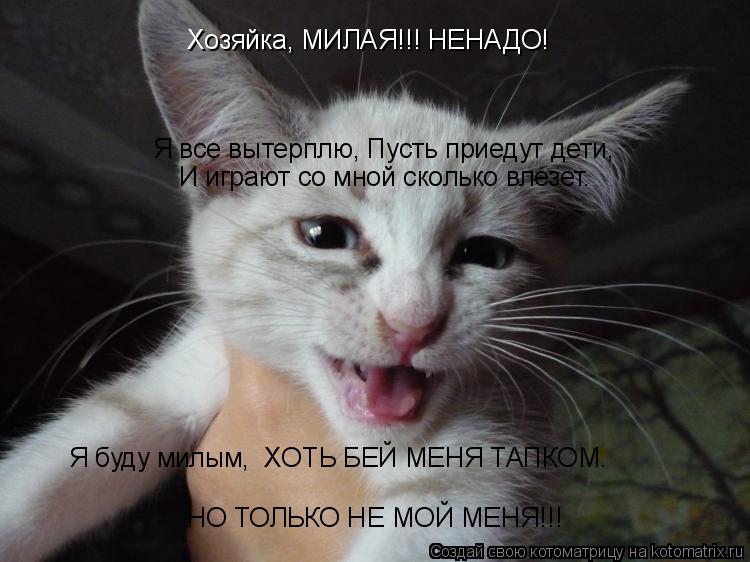 Хозяйка, МИЛАЯ!!! НЕНАДО! Я все вытерплю, Пусть приедут дети, НО ТОЛЬКО НЕ МОЙ МЕНЯ!!! И играют со мн... Котоматрица: Хозяйка, МИЛАЯ!!! НЕНАДО! Я все вытерплю, Пусть приедут дети, НО ТОЛЬКО НЕ МОЙ МЕНЯ!!! И играют со мной сколько влезет. Я буду милым, ХОТЬ БЕЙ МЕ