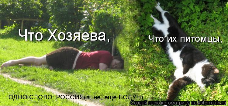 Что Хозяева, Что их питомцы, ОДНО СЛОВО: РОССИЯ(а, не, еще БОДУН)... Котоматрица: Что Хозяева, Что их питомцы, ОДНО СЛОВО: РОССИЯ(а, не, еще БОДУН)