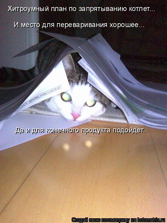 Хитроумный план по запрятыванию котлет... И место для переваривания хорошее... Да и для конечного про... Котоматрица: Хитроумный план по запрятыванию котлет... И место для переваривания хорошее... Да и для конечного продукта подойдет.