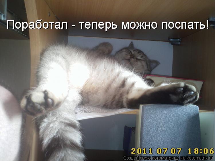 Котоматрица: Поработал - теперь можно поспать!