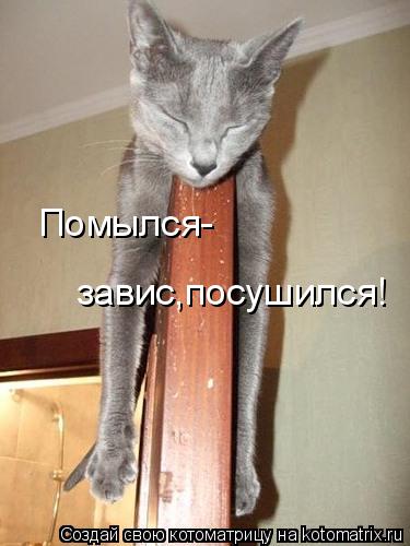 Котоматрица: Помылся- завис,посушился!
