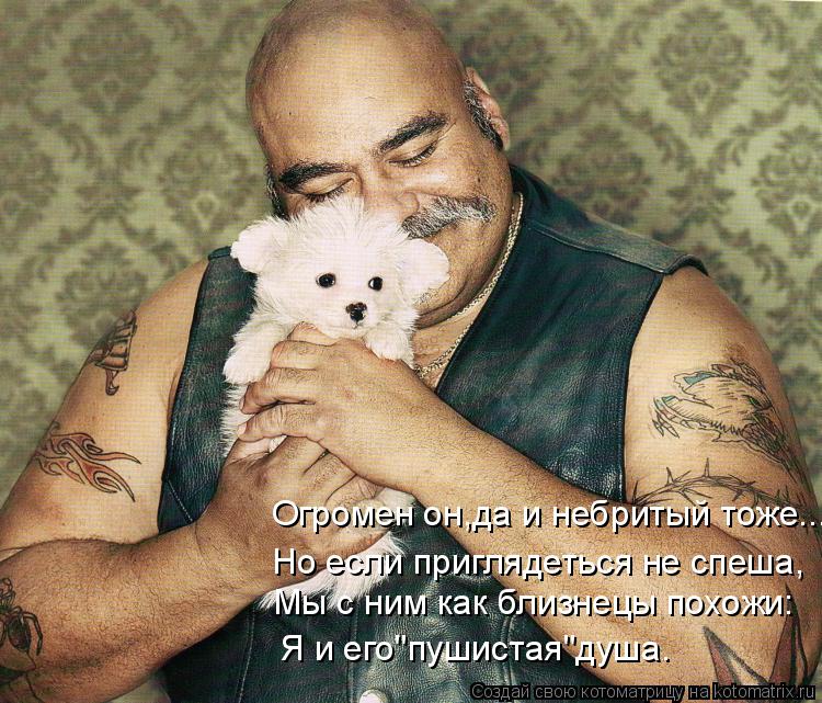 Огромен он,да и небритый тоже... Мы с ним как близнецы похожи: Я и его"пушистая"душа. Но если пригляд... Котоматрица: Огромен он,да и небритый тоже... Мы с ним как близнецы похожи: Я и его"пушистая"душа. Но если приглядеться не спеша,
