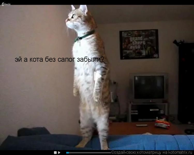 Котоматрица: эй а кота без сапог забыли?