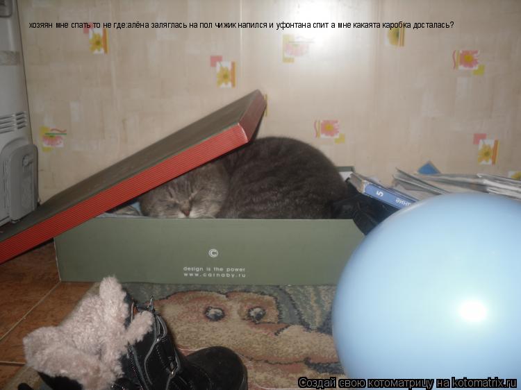 Котоматрица: хозяян мне спать то не где:алёна заляглась на пол чижик напился и уфонтана спит а мне какаята каробка досталась?