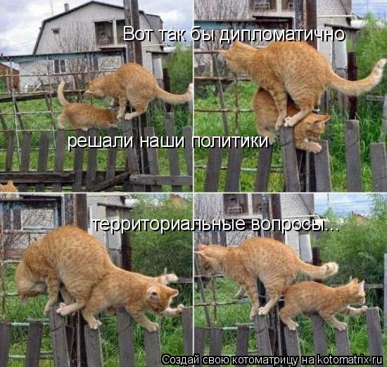 Вот так бы дипломатично решали наши политики территориальные вопросы...... Котоматрица: Вот так бы дипломатично решали наши политики территориальные вопросы...