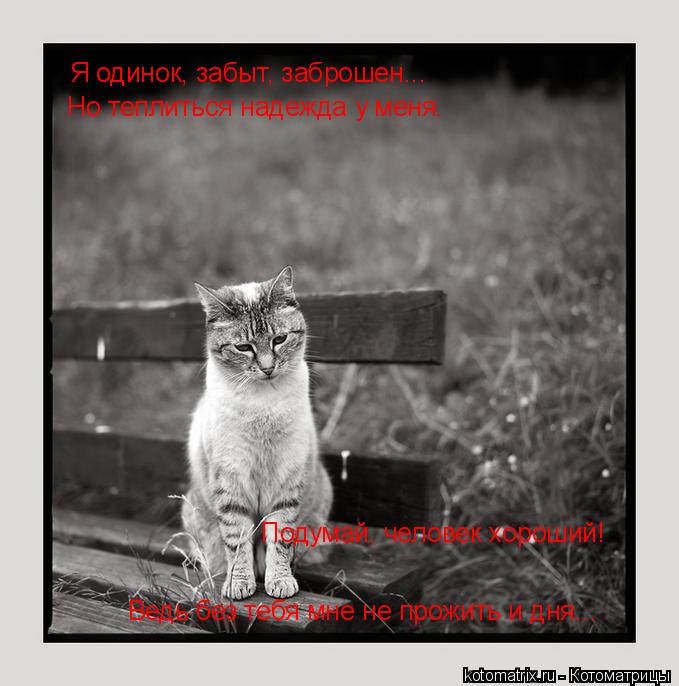 Я одинок, забыт, заброшен... Но теплиться надежда у меня. Подумай, человек хороший! Ведь без тебя мн... Котоматрица: Я одинок, забыт, заброшен... Но теплиться надежда у меня. Подумай, человек хороший! Ведь без тебя мне не прожить и дня...