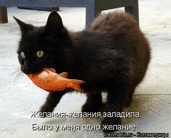 Желания-желания,заладила. Было у меня одно желание...... Котоматрица: Желания-желания,заладила. Было у меня одно желание...