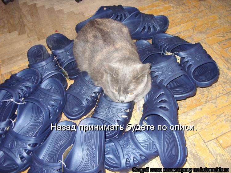 Назад принимать будете по описи.... Котоматрица: Назад принимать будете по описи.