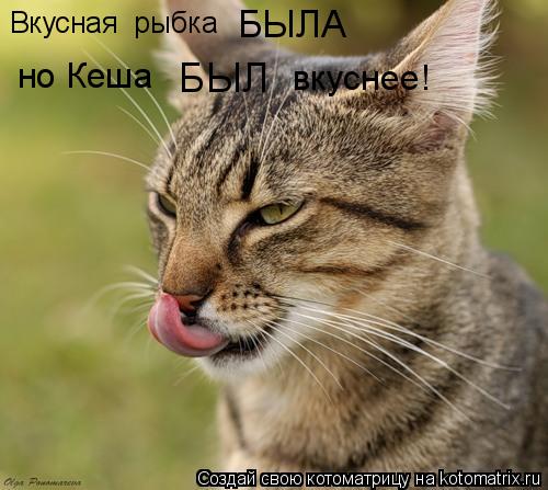 Вкусная рыбка БЫЛА но Кеша БЫЛ вкуснее!... Котоматрица: Вкусная рыбка БЫЛА но Кеша БЫЛ вкуснее!