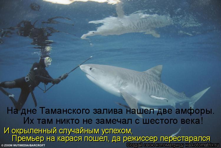 На дне Таманского залива нашел две амфоры. Их там никто не замечал с шестого века! И окрыленный случ... Котоматрица: На дне Таманского залива нашел две амфоры. Их там никто не замечал с шестого века! И окрыленный случайным успехом, Премьер на карася пошел,
