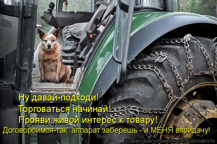 Ну давай-подходи! Торговаться начинай! Прояви живой интерес к товару! Договороимся-так аппарат забер... Котоматрица: Ну давай-подходи! Торговаться начинай! Прояви живой интерес к товару! Договороимся-так аппарат заберешь - и МЕНЯ впридачу!