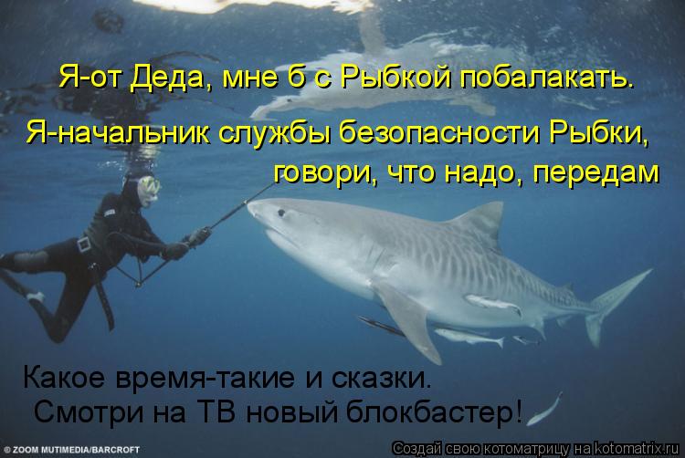 Я-начальник службы безопасности Рыбки, говори, что надо, передам Какое время-такие и сказки. Смотри... Котоматрица: Я-начальник службы безопасности Рыбки, говори, что надо, передам Какое время-такие и сказки. Смотри на ТВ новый блокбастер! Я-от Деда, мне б