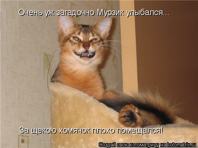 Очень уж загадочно Мурзик улыбался... За щекою хомячок плохо помещался!... Котоматрица: Очень уж загадочно Мурзик улыбался... За щекою хомячок плохо помещался!