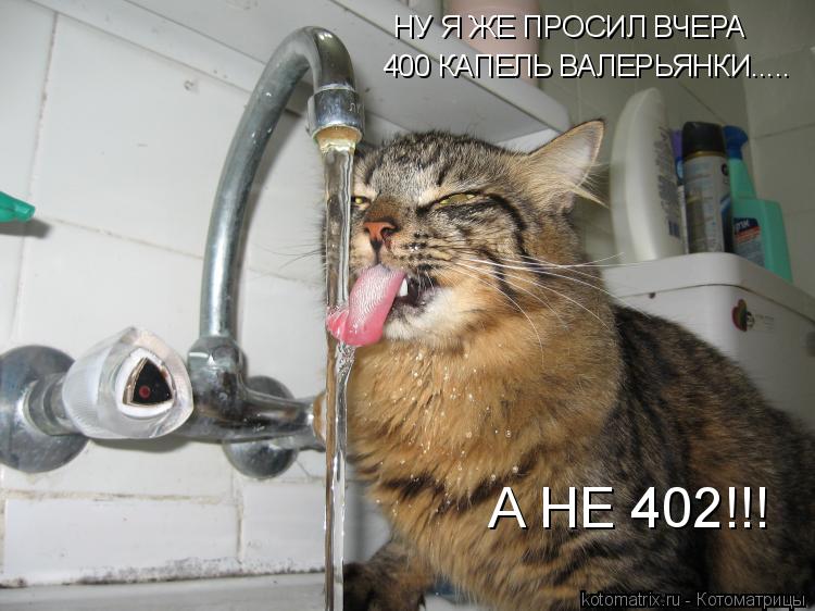 НУ Я ЖЕ ПРОСИЛ ВЧЕРА 400 КАПЕЛЬ ВАЛЕРЬЯНКИ..... А НЕ 402!!!... Котоматрица: НУ Я ЖЕ ПРОСИЛ ВЧЕРА 400 КАПЕЛЬ ВАЛЕРЬЯНКИ..... А НЕ 402!!!