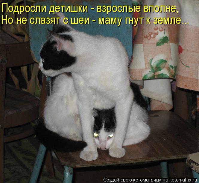 Подросли детишки - взрослые вполне, Но не слазят с шеи - маму гнут к земле...... Котоматрица: Подросли детишки - взрослые вполне, Но не слазят с шеи - маму гнут к земле...