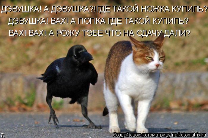 ДЭВУШКА! А ДЭВУШКА?!ГДЕ ТАКОЙ НОЖКА КУПИЛЬ? ДЭВУШКА! ВАХ! А ПОПКА ГДЕ ТАКОЙ КУПИЛЬ? ВАХ! ВАХ! А РОЖУ ... Котоматрица: ДЭВУШКА! А ДЭВУШКА?!ГДЕ ТАКОЙ НОЖКА КУПИЛЬ? ДЭВУШКА! ВАХ! А ПОПКА ГДЕ ТАКОЙ КУПИЛЬ? ВАХ! ВАХ! А РОЖУ ТЭБЕ ЧТО НА СДАЧУ ДАЛИ?