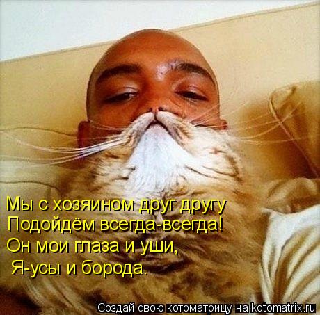 Мы с хозяином друг другу Подойдём всегда-всегда! Он мои глаза и уши, Я-усы и борода.... Котоматрица: Мы с хозяином друг другу Подойдём всегда-всегда! Он мои глаза и уши, Я-усы и борода.