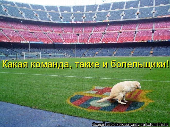 Какая команда, такие и болельщики!... Котоматрица: Какая команда, такие и болельщики!