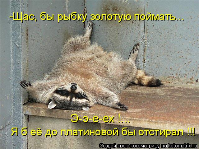  - -,    ...        !!!