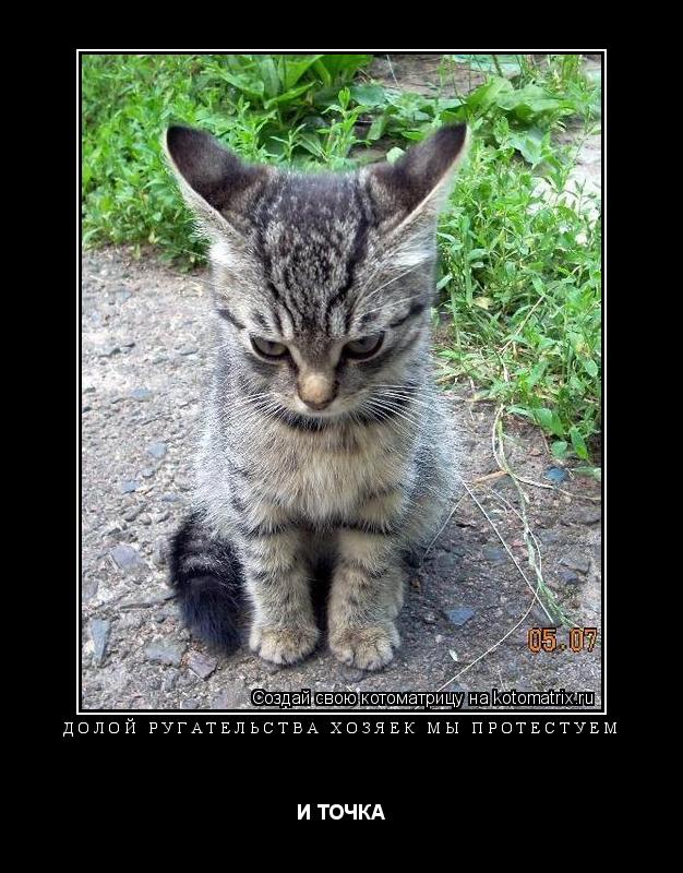 Долой ругательства хозяек мы протестуем И ТОЧКА... Котоматрица: Долой ругательства хозяек мы протестуем И ТОЧКА