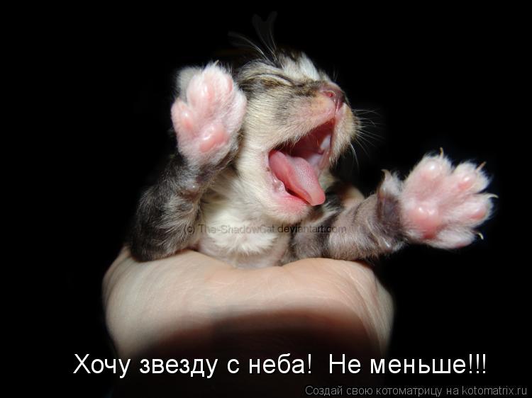Котоматрица: Хочу звезду с неба!  Не меньше!!!