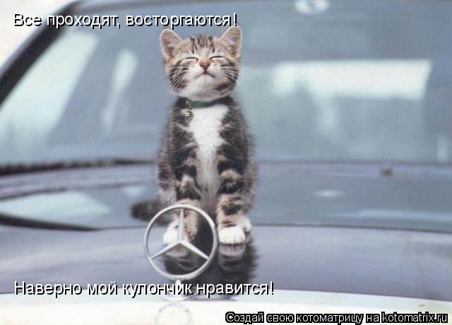 Котоматрица: Все проходят, восторгаются! Наверно мой кулончик нравится!