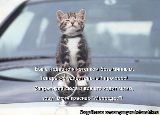 Котоматрица: Была недавно я котёнком безымянным. Теперь же удивительный прогресс! Запрыгнула сюда и все кто ходит мимо, зовут меня красиво-"Мерседес"!