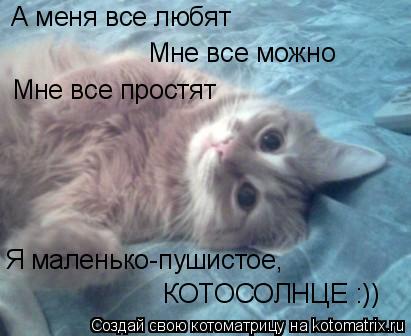 Котоматрица: А меня все любят Мне все простят Мне все можно Я маленько-пушистое, КОТОСОЛНЦЕ :))