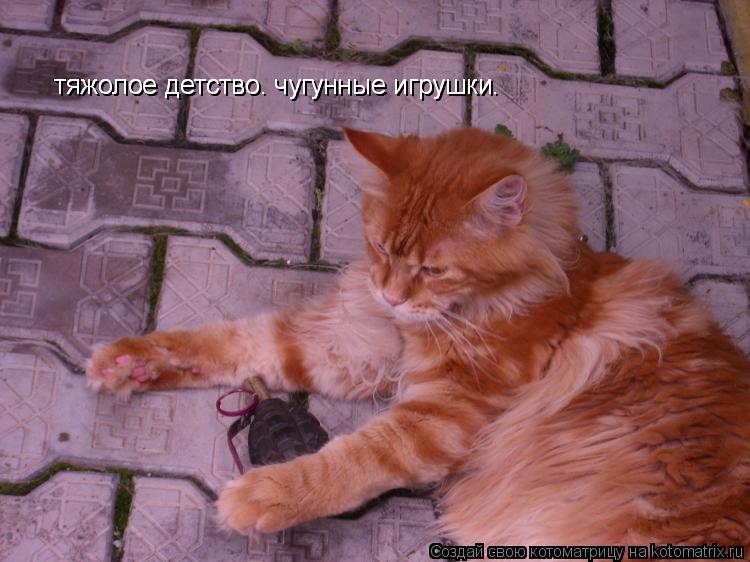 Котоматрица: тяжолое детство. чугунные игрушки. тяжолое детство. чугунные игрушки.