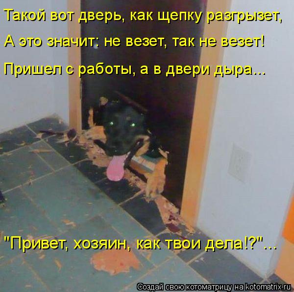 Котоматрица: Такой вот дверь, как щепку разгрызет, А это значит: не везет, так не везет! Пришел с работы, а в двери дыра... "Привет, хозяин, как твои дела!?"...