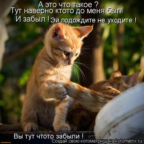 Котоматрица: А это что такое ? Тут наверно ктото до меня был! И забыл !  Эй подождите не уходите ! Вы тут чтото забыли !