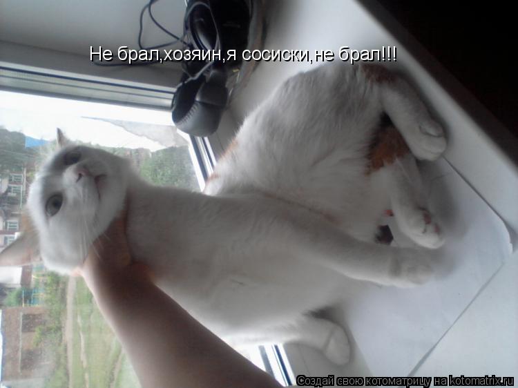 Котоматрица: Не брал,хозяин,я сосиски,не брал!!!