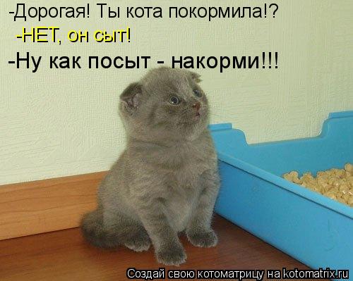 Котоматрица: -Дорогая! Ты кота покормила!?  -НЕТ, он сыт!  -Ну как посыт - накорми!!!