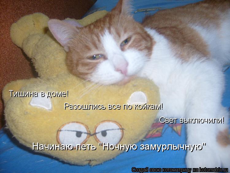 Тишина в доме! Разошлись все по койкам! Свет выключили! Начинаю петь "Ночную замурлычную"... Котоматрица: Тишина в доме! Разошлись все по койкам! Свет выключили! Начинаю петь "Ночную замурлычную"