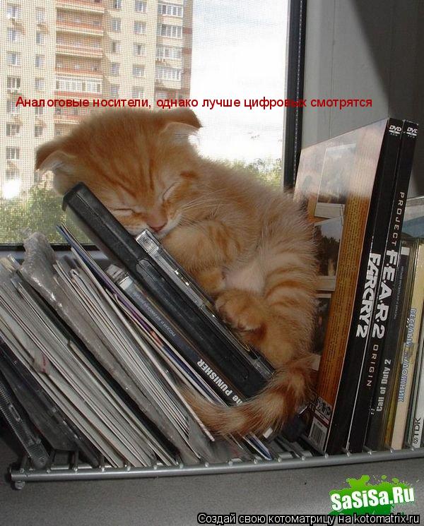 Аналоговые носители, однако лучше цифровых смотрятся... Котоматрица: Аналоговые носители, однако лучше цифровых смотрятся