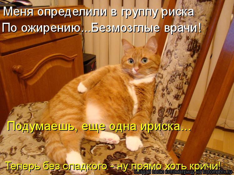Меня определили в группу риска По ожирению...Безмозглые врачи! Теперь без сладкого - ну прямо хоть к... Котоматрица: Меня определили в группу риска По ожирению...Безмозглые врачи! Теперь без сладкого - ну прямо хоть кричи! Подумаешь, еще одна ириска...