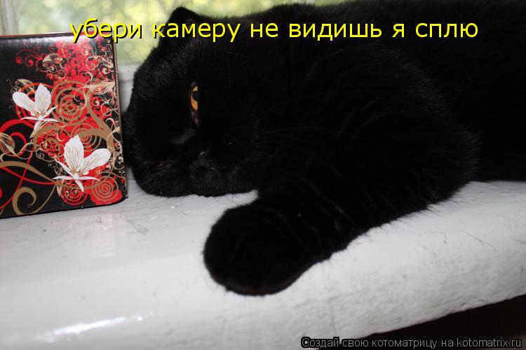 убери камеру не видишь я сплю... Котоматрица: убери камеру не видишь я сплю