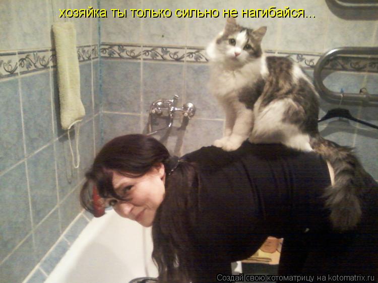 хозяйка ты только сильно не нагибайся...... Котоматрица: хозяйка ты только сильно не нагибайся...