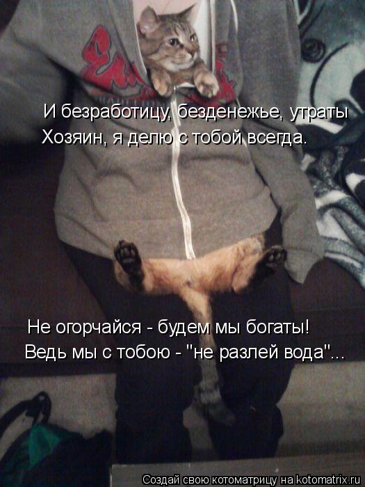 И безработицу, безденежье, утраты Хозяин, я делю с тобой всегда. Не огорчайся - будем мы богаты! Вед... Котоматрица: И безработицу, безденежье, утраты Хозяин, я делю с тобой всегда. Не огорчайся - будем мы богаты! Ведь мы с тобою - "не разлей вода"...